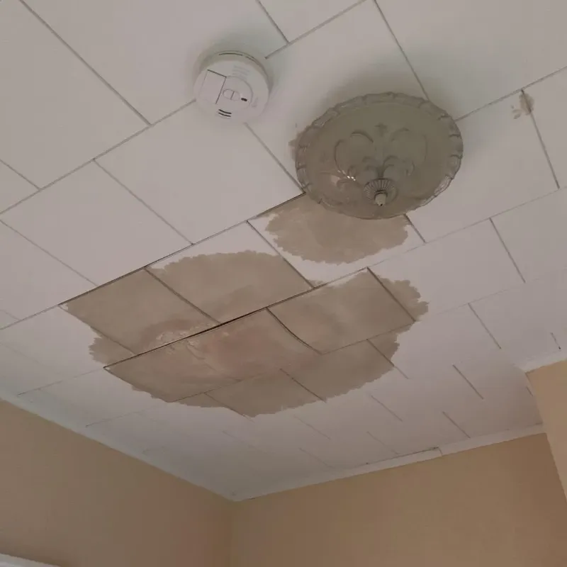 Ceiling Water Damage Repair in Mille Lacs County, MN