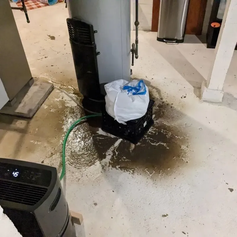 Sewage Backup Cleanup Service in Mille Lacs County, MN